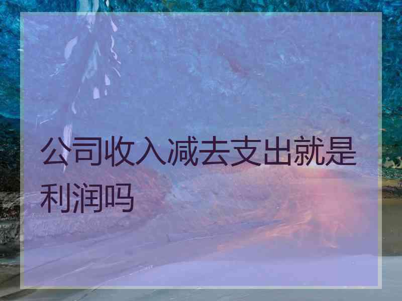 公司收入减去支出就是利润吗