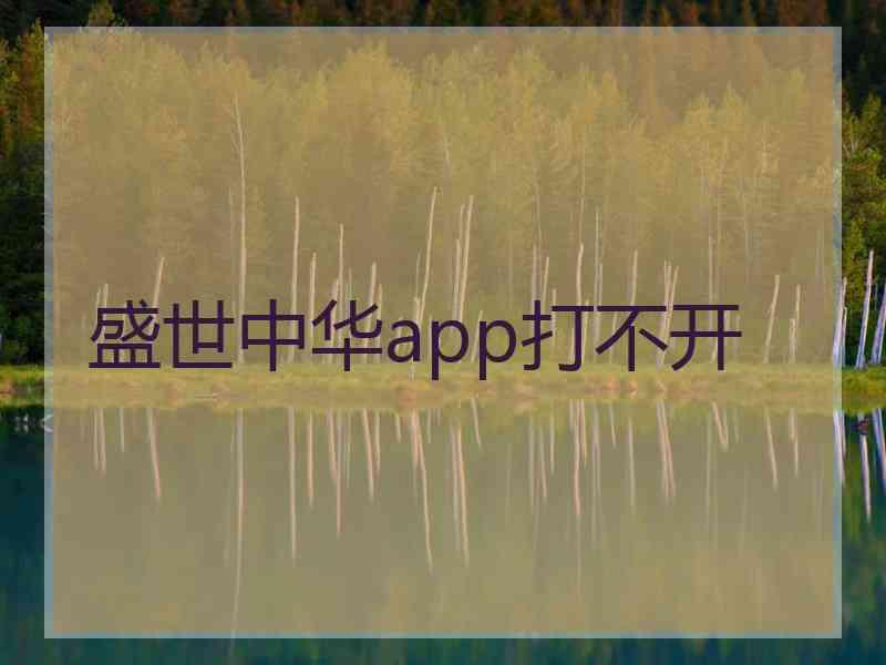 盛世中华app打不开