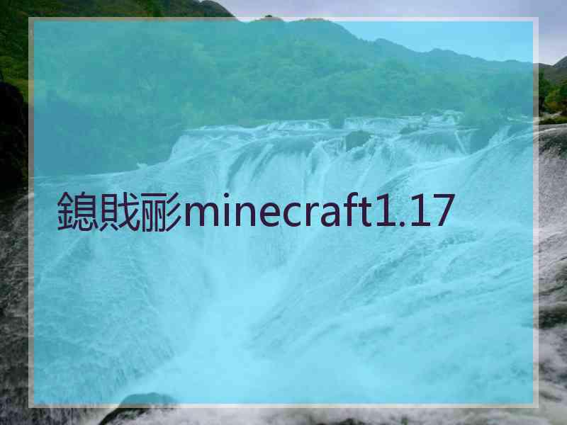 鎴戝彨minecraft1.17