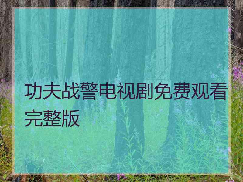 功夫战警电视剧免费观看完整版