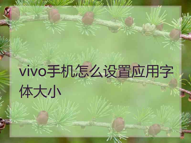 vivo手机怎么设置应用字体大小