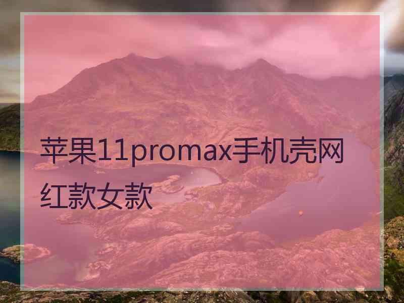 苹果11promax手机壳网红款女款