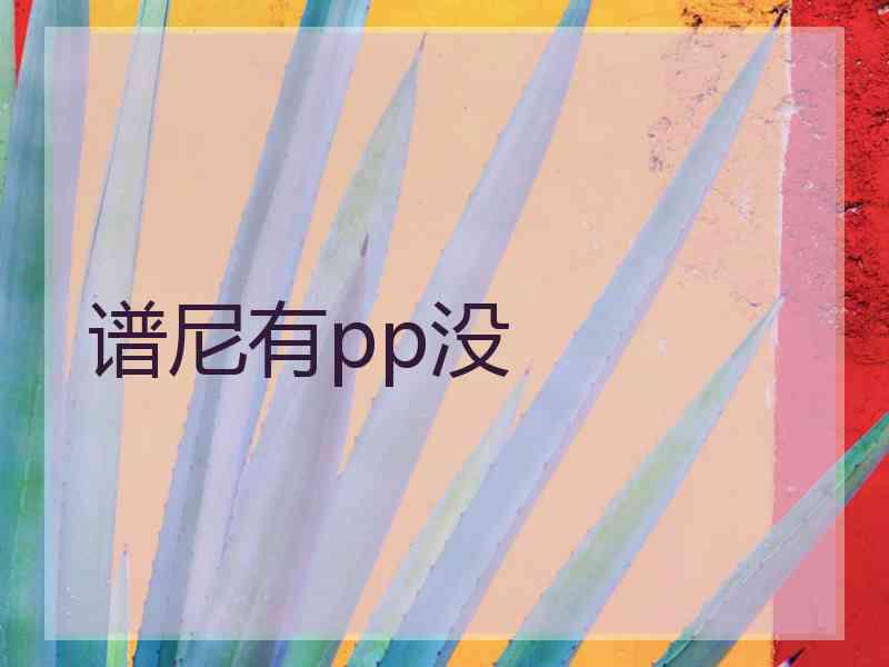 谱尼有pp没