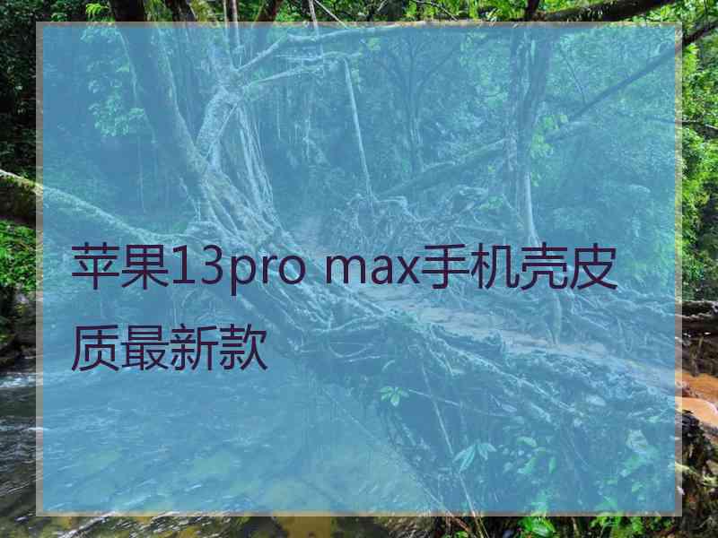 苹果13pro max手机壳皮质最新款