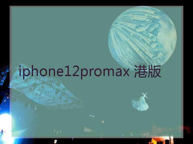 iphone12promax 港版