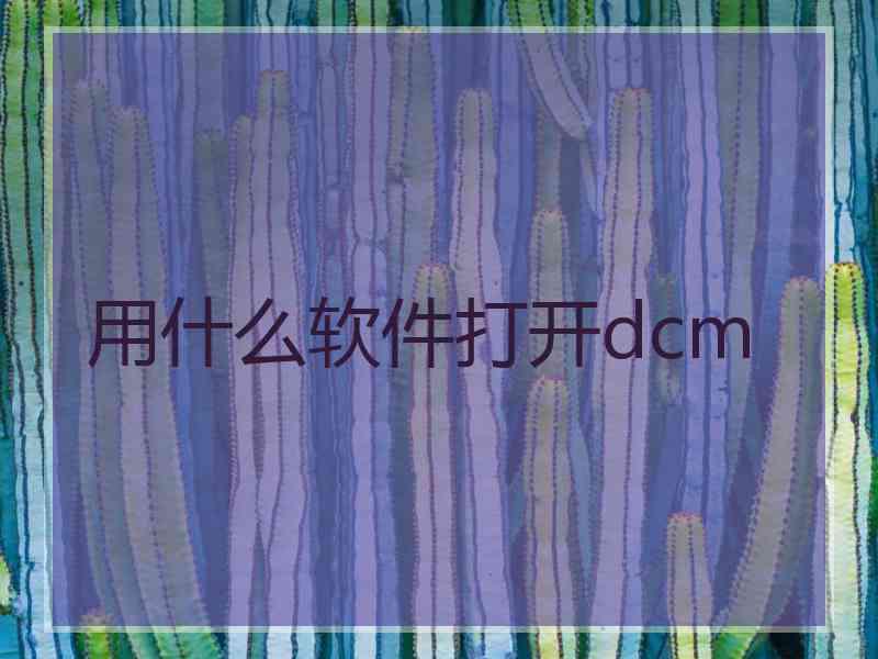 用什么软件打开dcm