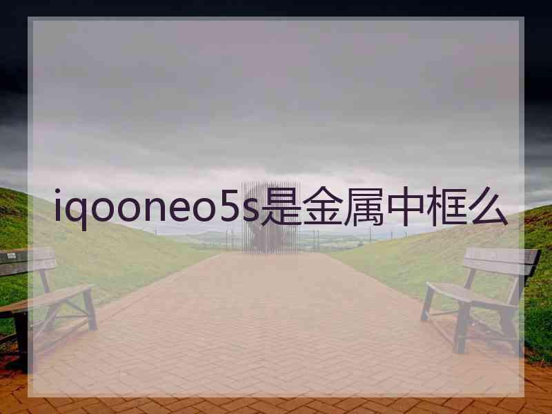 iqooneo5s是金属中框么