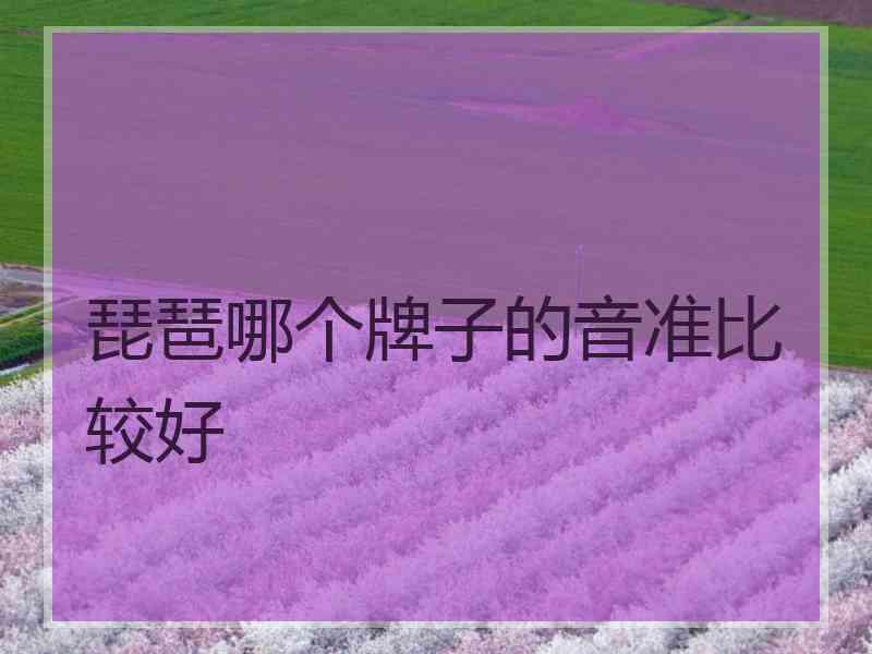 琵琶哪个牌子的音准比较好