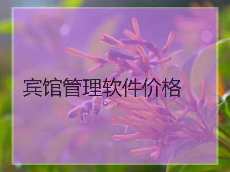 宾馆管理软件价格