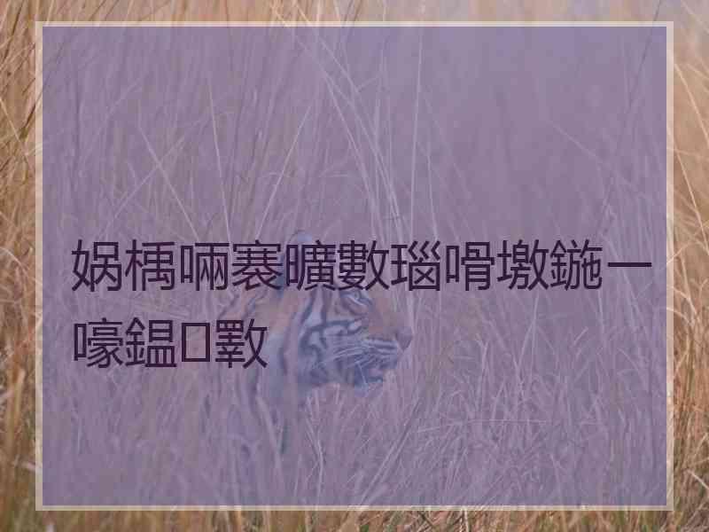 娲楀啢褰曠數瑙嗗墽鍦ㄧ嚎鎾斁