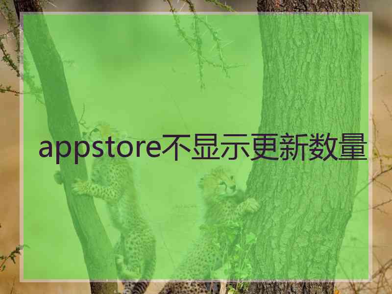 appstore不显示更新数量