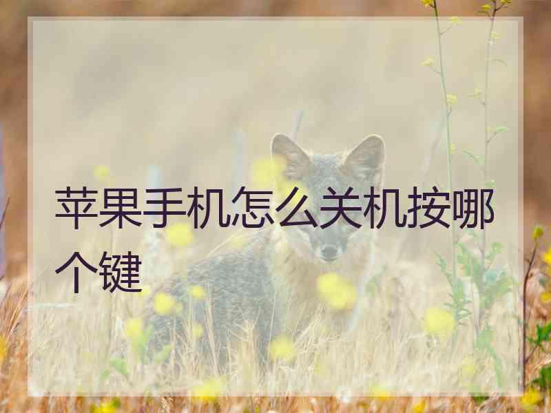 苹果手机怎么关机按哪个键