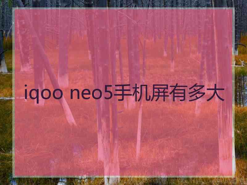 iqoo neo5手机屏有多大