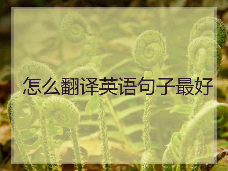 怎么翻译英语句子最好