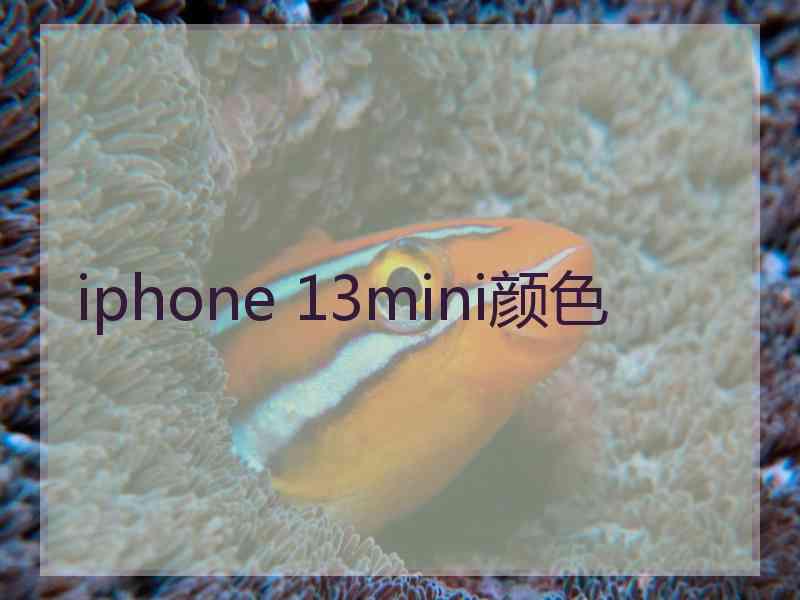 iphone 13mini颜色