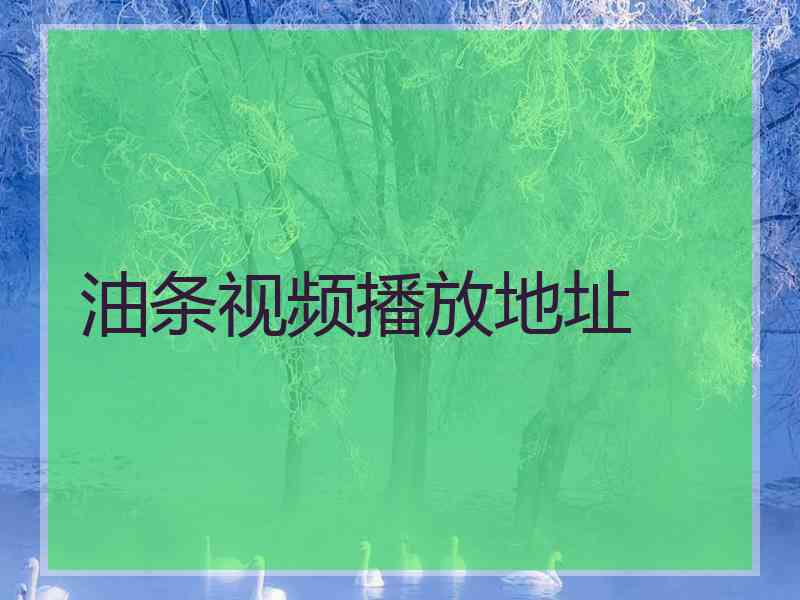 油条视频播放地址