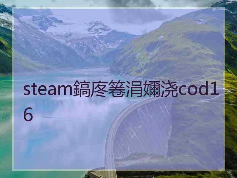 steam鎬庝箞涓嬭浇cod16