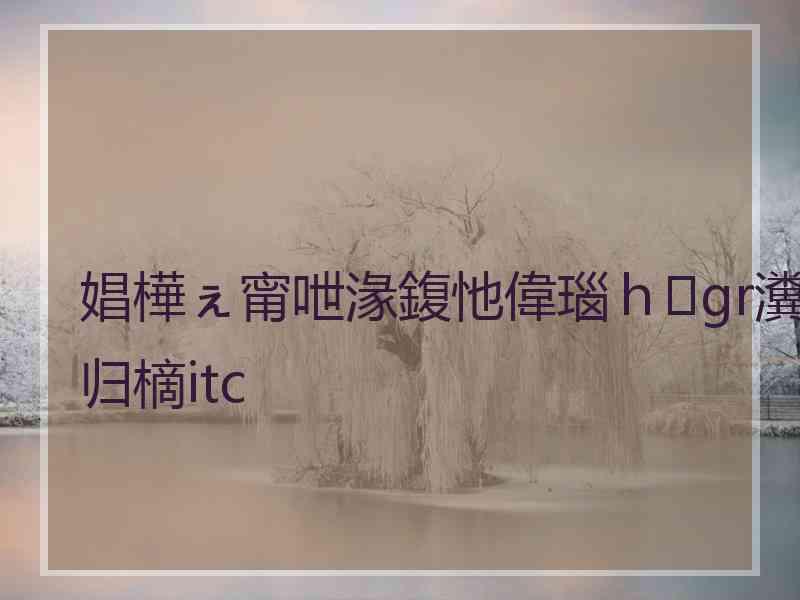 娼樺ぇ甯呭湪鍑忚偉瑙ｈgr瀵归樀itc