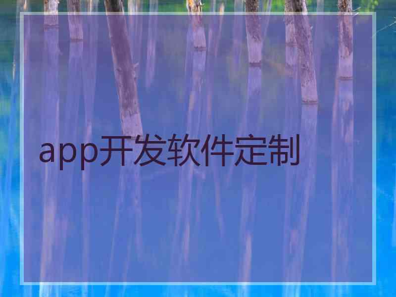 app开发软件定制