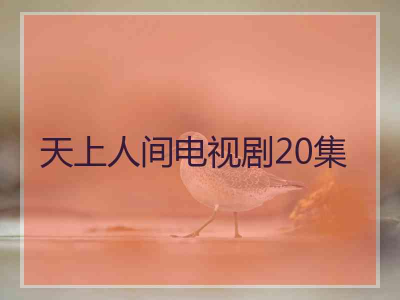 天上人间电视剧20集