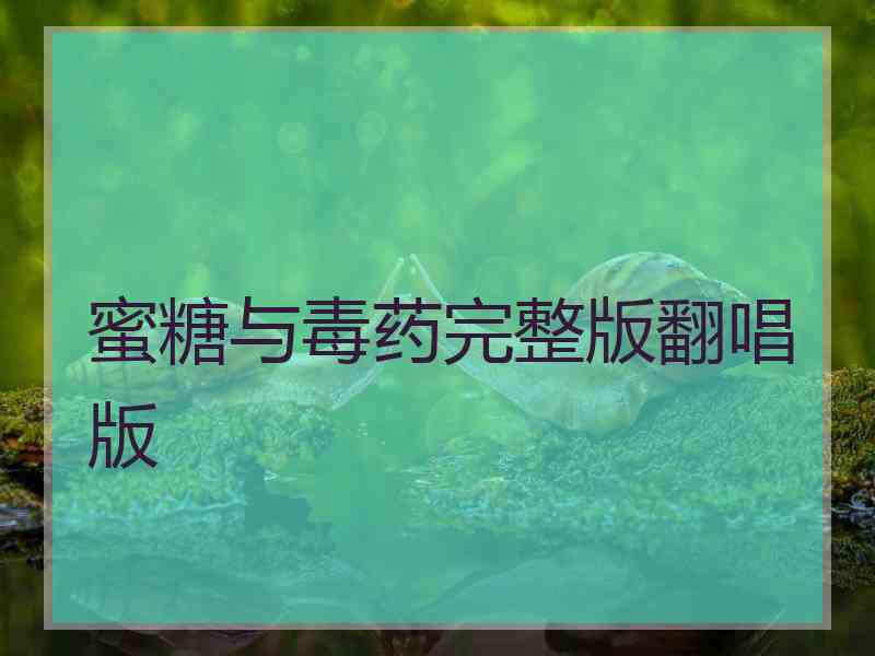 蜜糖与毒药完整版翻唱版