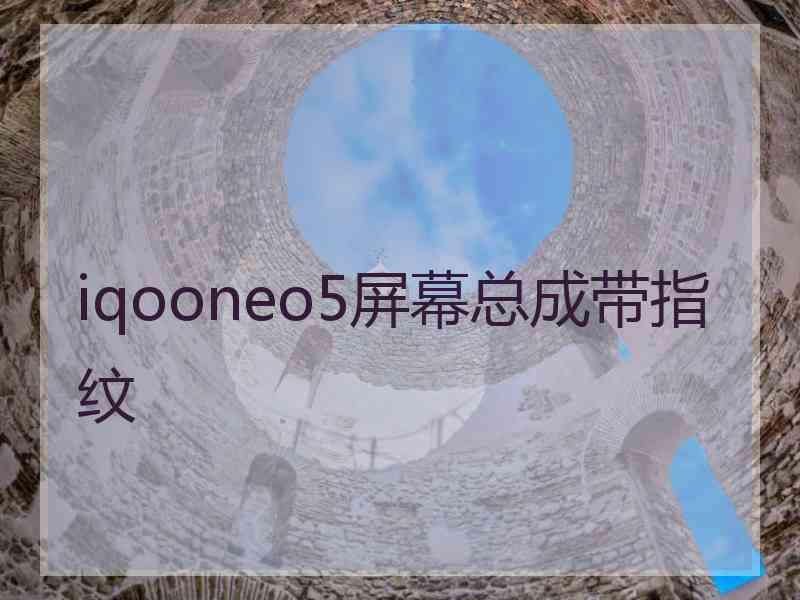 iqooneo5屏幕总成带指纹