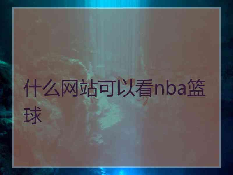 什么网站可以看nba篮球