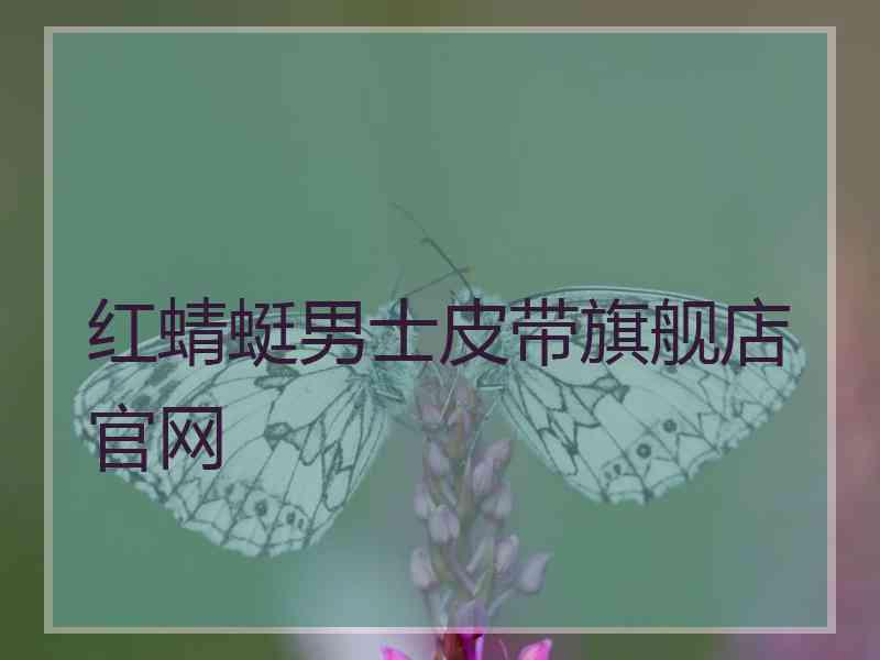 红蜻蜓男士皮带旗舰店官网