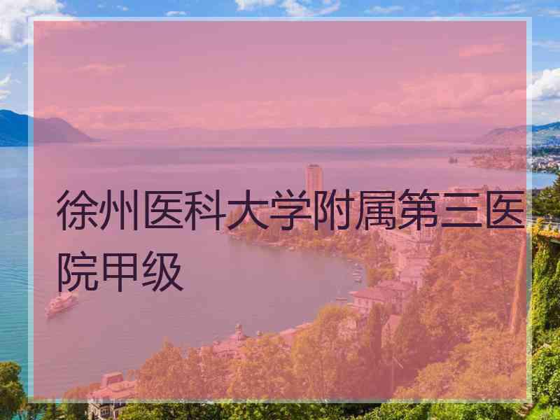 徐州医科大学附属第三医院甲级