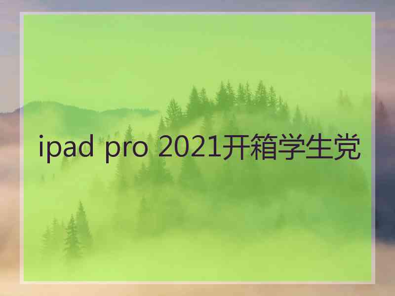 ipad pro 2021开箱学生党