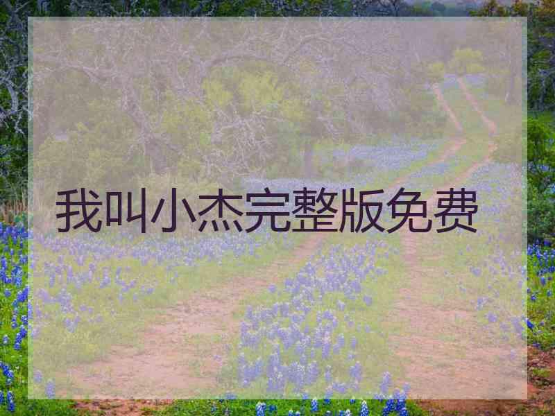 我叫小杰完整版免费