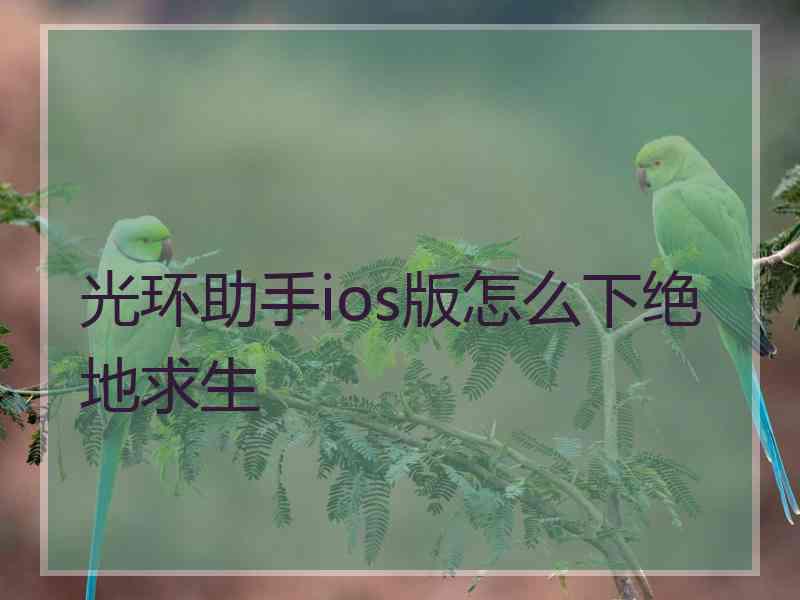 光环助手ios版怎么下绝地求生