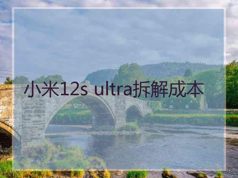 小米12s ultra拆解成本