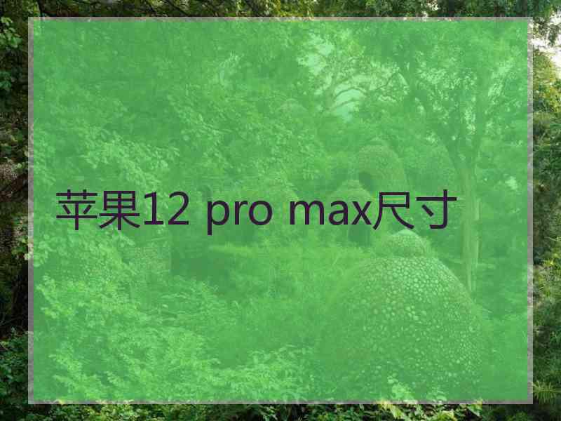 苹果12 pro max尺寸