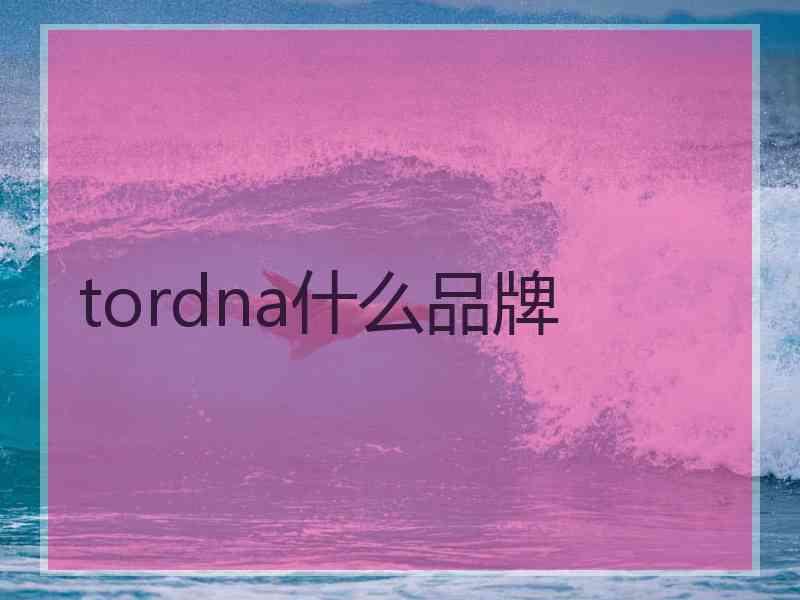 tordna什么品牌