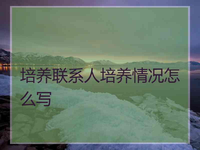 培养联系人培养情况怎么写