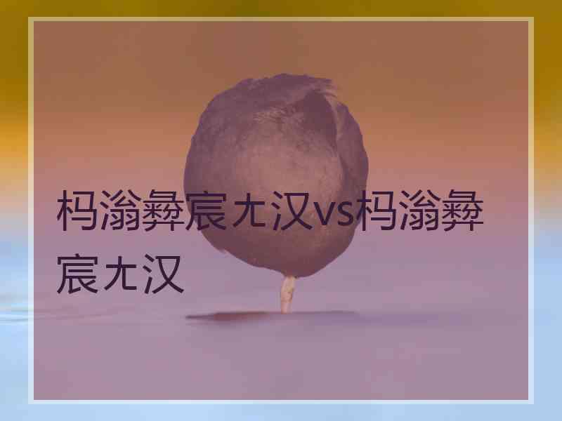 杩滃彜宸ㄤ汉vs杩滃彜宸ㄤ汉