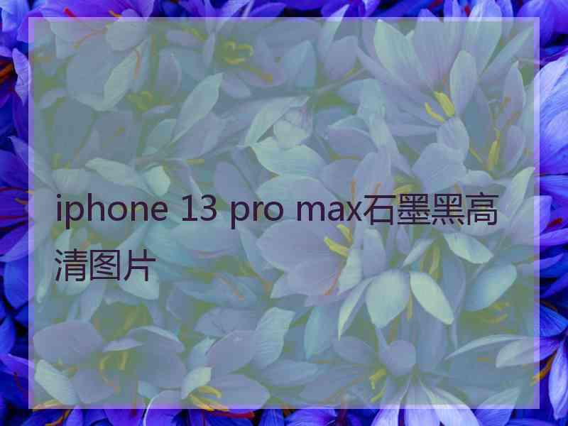 iphone 13 pro max石墨黑高清图片