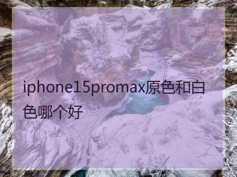 iphone15promax原色和白色哪个好