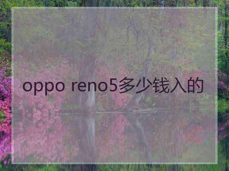 oppo reno5多少钱入的