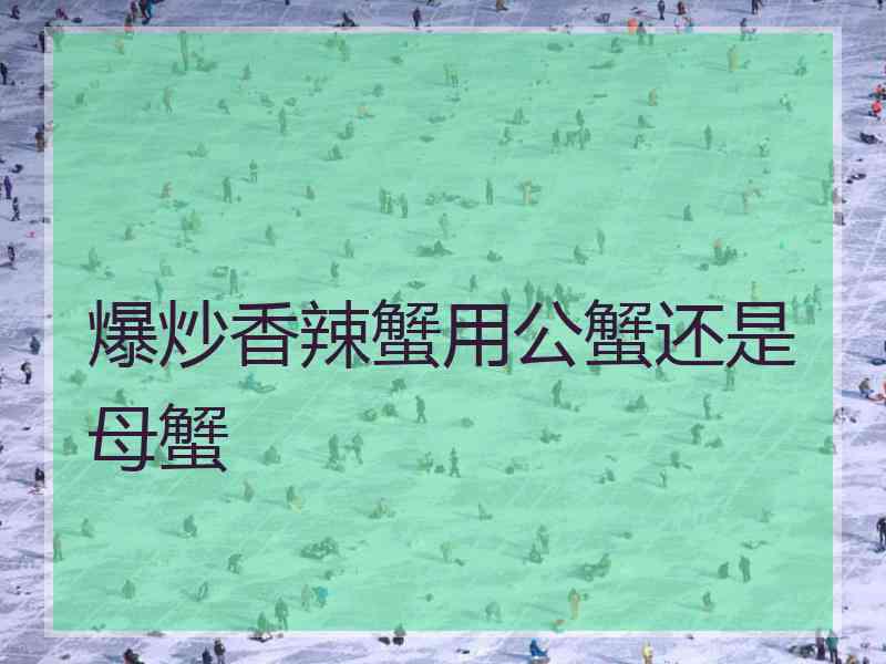 爆炒香辣蟹用公蟹还是母蟹