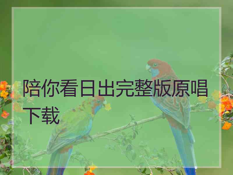 陪你看日出完整版原唱下载