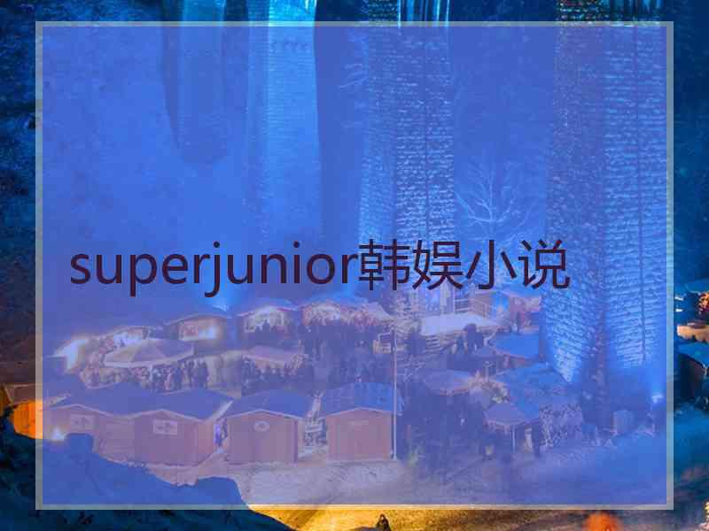 superjunior韩娱小说