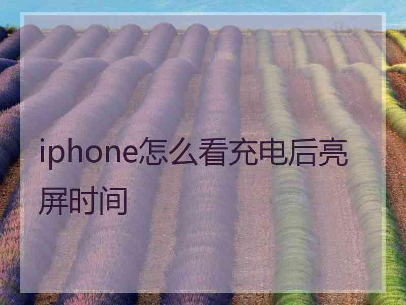 iphone怎么看充电后亮屏时间