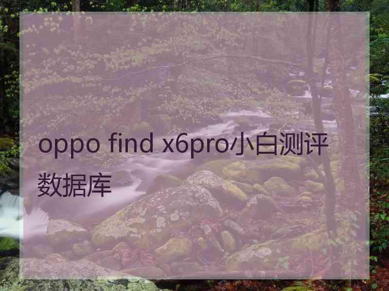 oppo find x6pro小白测评数据库