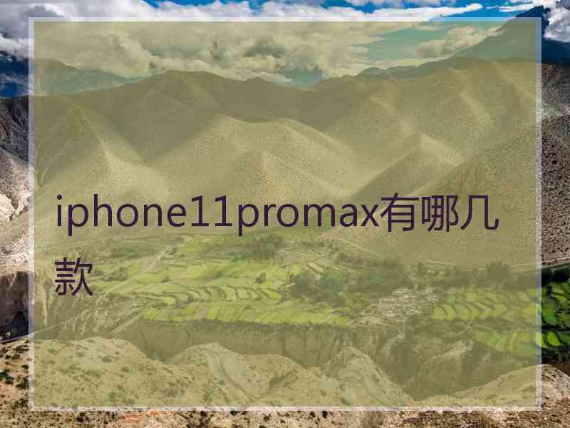 iphone11promax有哪几款