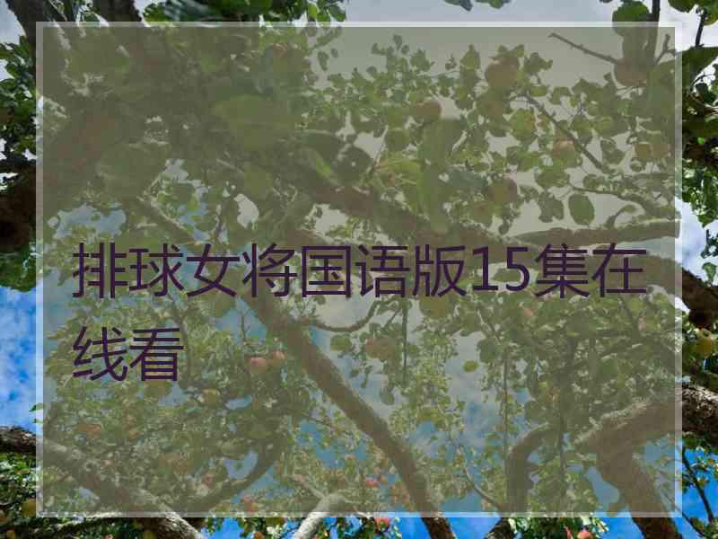 排球女将国语版15集在线看