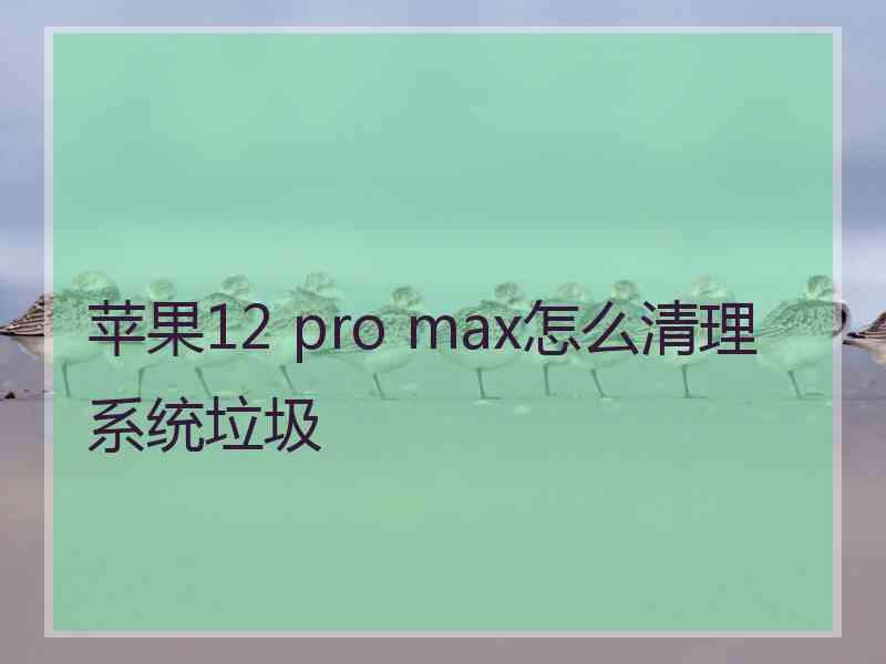 苹果12 pro max怎么清理系统垃圾