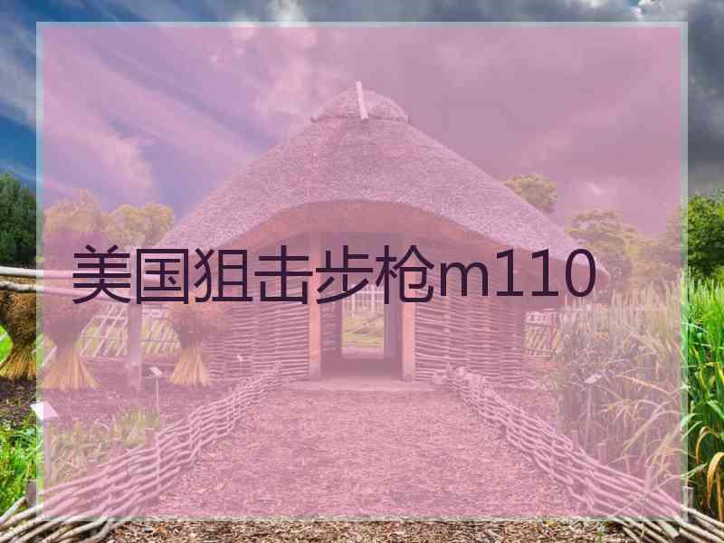 美国狙击步枪m110