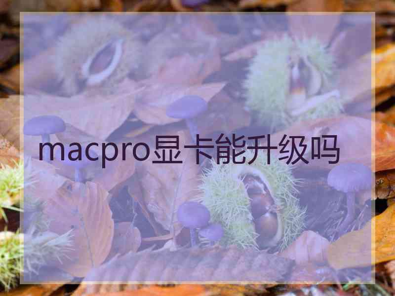 macpro显卡能升级吗